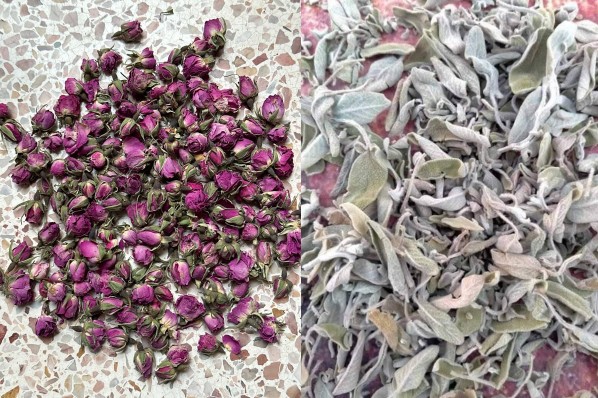 Rose harvest