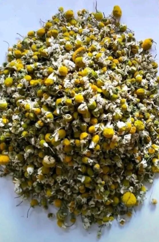 Herbs drying in Morocco